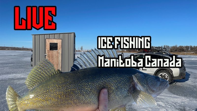 Best ice fishing gamble game in Canada
